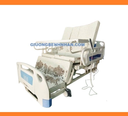 Giường bệnh Điều khiển 16 chức năng Lucass GB4E